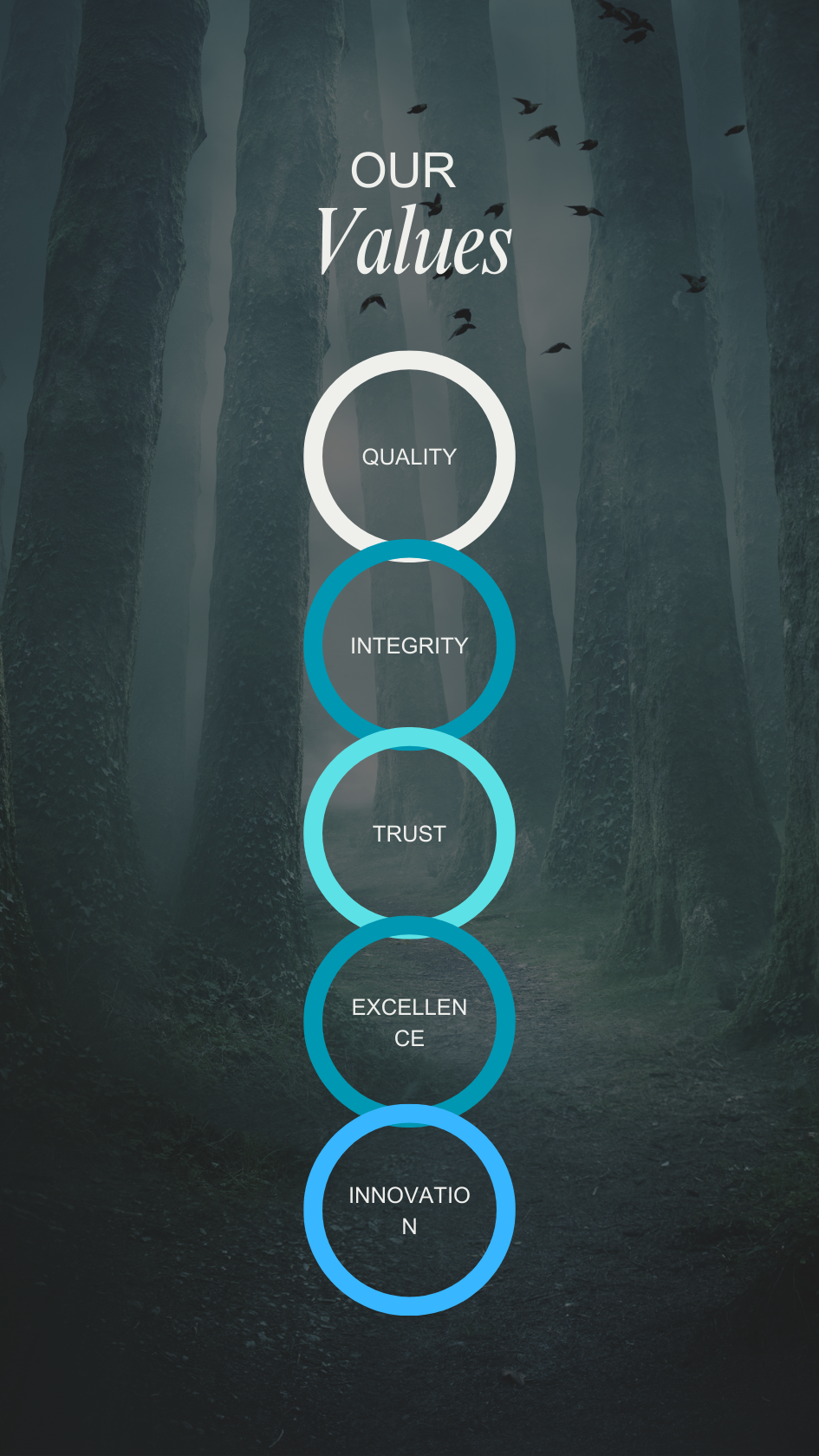 Values